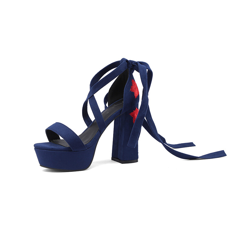 Women's Peep Toe Chunky High Heel Sandal Boots with Ribbon and Embroidery